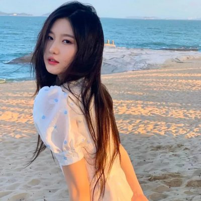 菊石